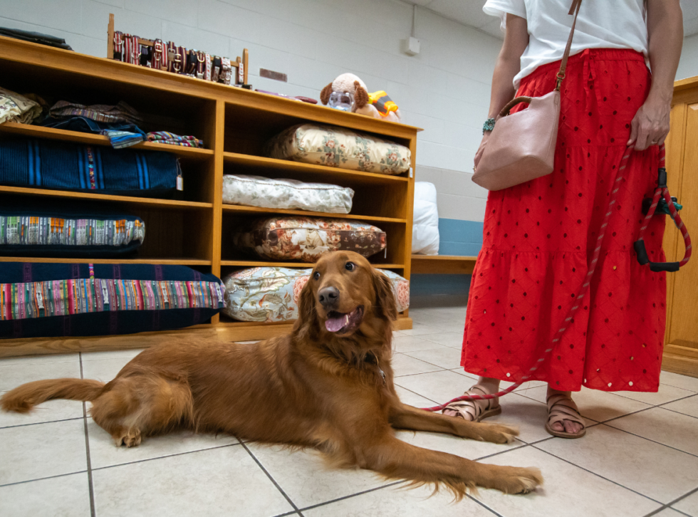 San Antonio, TX Pet Boarding Prices