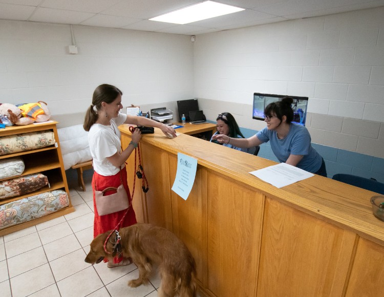 a person standing at a reception desk with a dog
