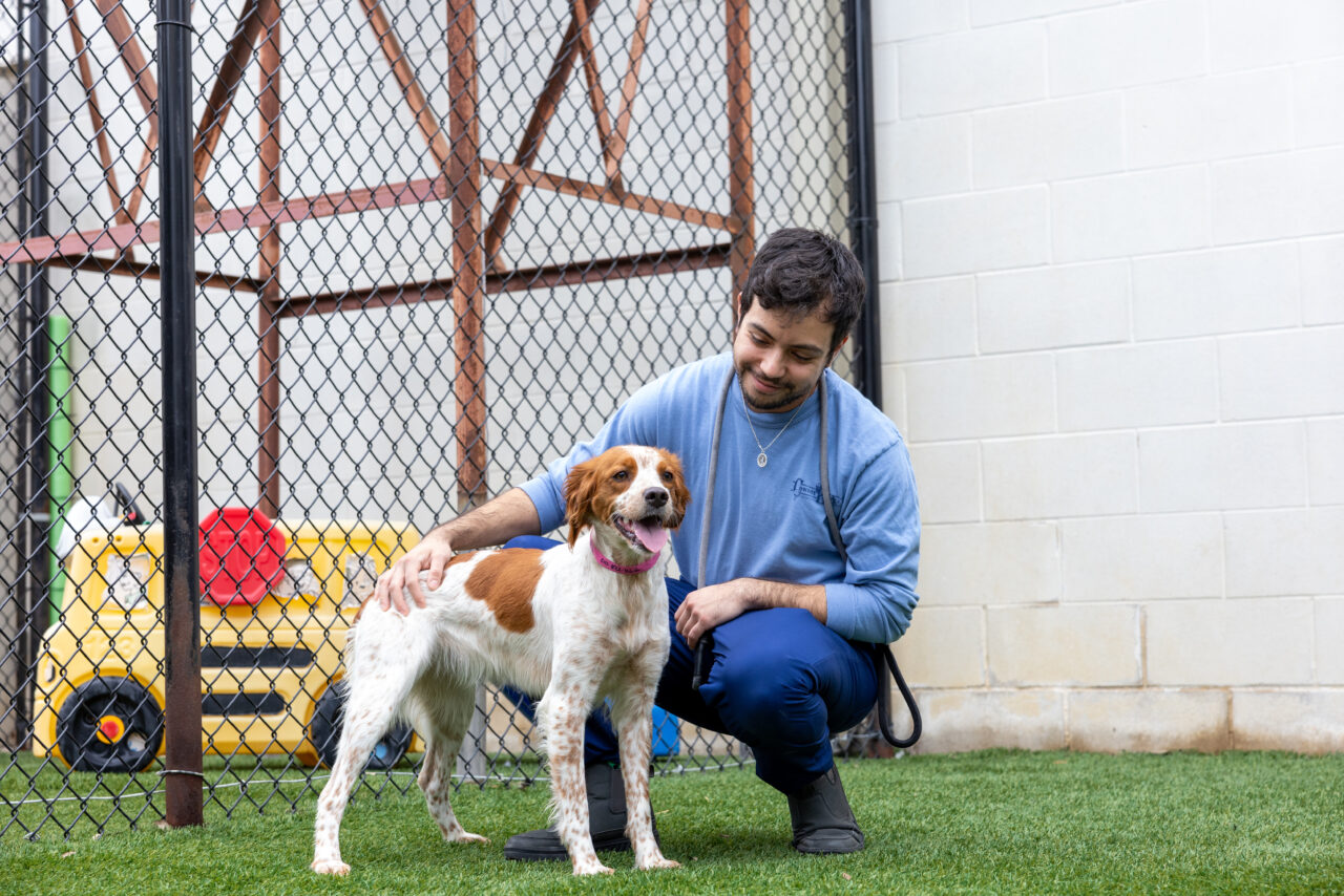 Dog Boarding San Antonio TX 78212 Cowboy Kennels