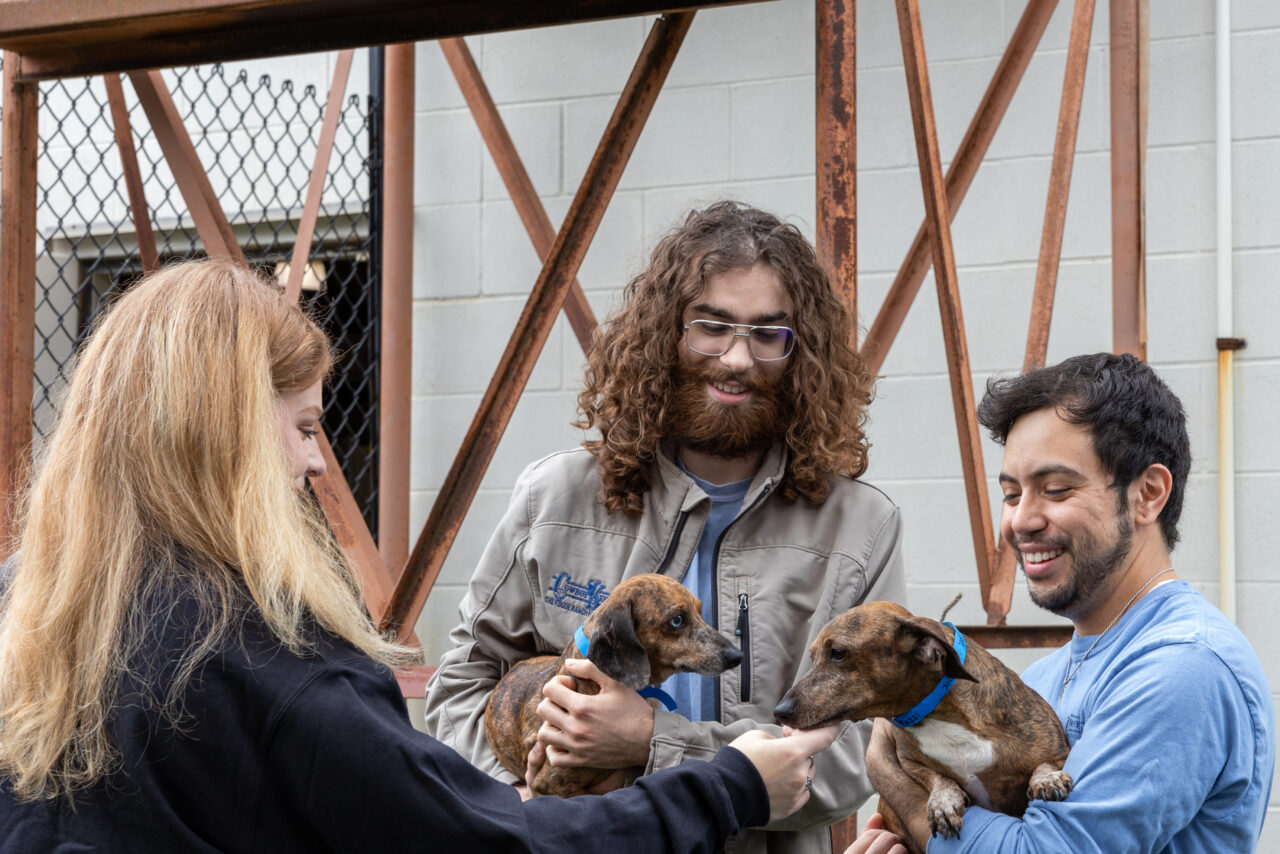 Pet Day Boarding San Antonio, TX 78212 Cowboy Kennels